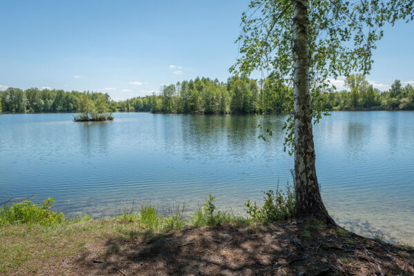 05_einer-von-zahlreichen-weihern